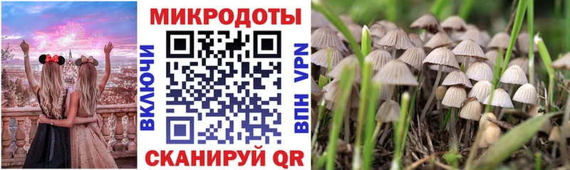 Купить Чаплыгин Галлюциногенные грибы мухоморы